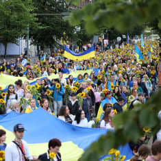 Auringonkukkakulkue. Ukrainan suurta lippua kannetaan keskellä kulkuetta.