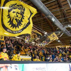 Lappeenrannan Kisapuistossa peliä seuraavia SaiPa-kannattajia. Osa heiluttaa lippuja.