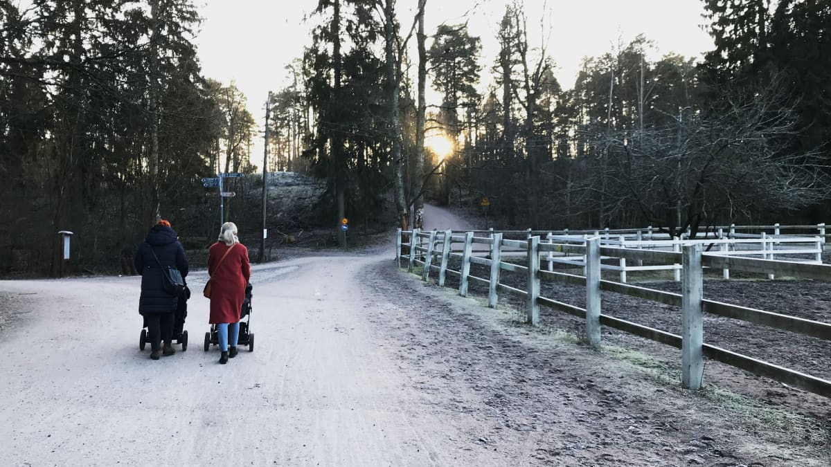 Kaksi naista työntää lapsia rattaisssa Helsingin Keskuspuistossa.