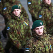 Maastopukuisia sotilaita vihreissä bareteissa hihassa Viron sinimustavalkoinen lippu ja rintapielessä Ukrainan lipun sinikeltaiset värit.