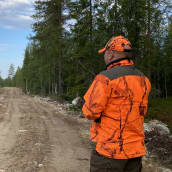 Matti Aikio tarkkailaa koiransa liikkeitä Kuusamossa karhunmetsästyksen avauksessa.