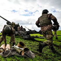 Ukrainalaissotilaat lataavat tykkiä, etualalla ammuksia, vihreä pelto. 