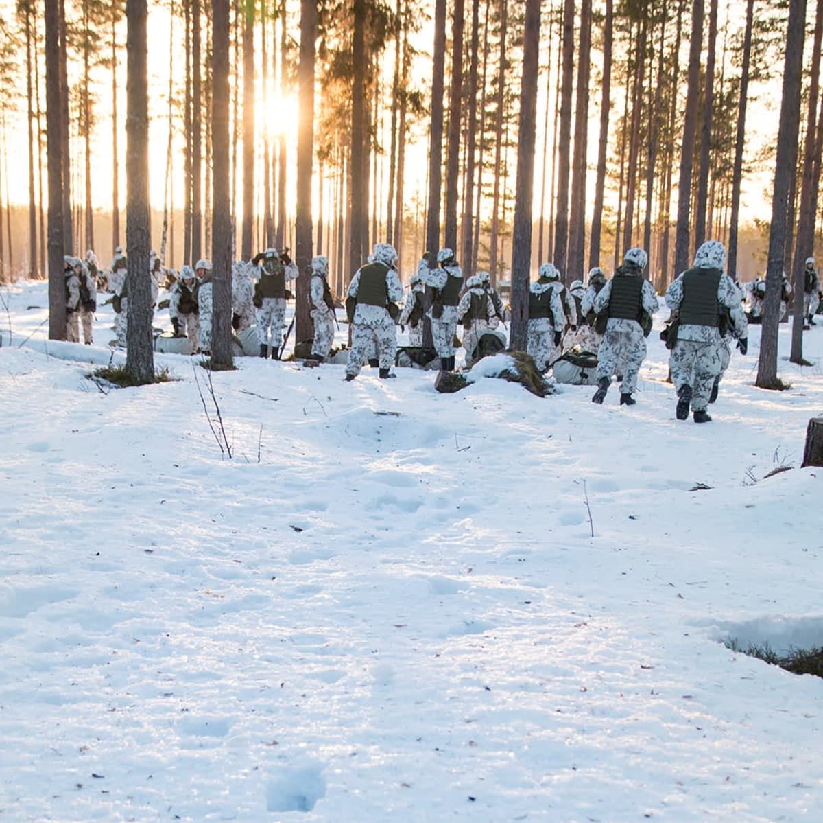 Varushenkilöitä kävelemässä lumisessa metsässä. 