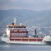 Polarnet-alus, jonka lastina tuotiin 12 000 tonnia viljaa Ukrainasta, saapui maanantaiaamuna Turkkiin