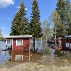 Tulva on saartanut asuintaloja Pellossa.
