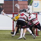 LTU ja Turku Titans kamppailivat box lacrossessa.
