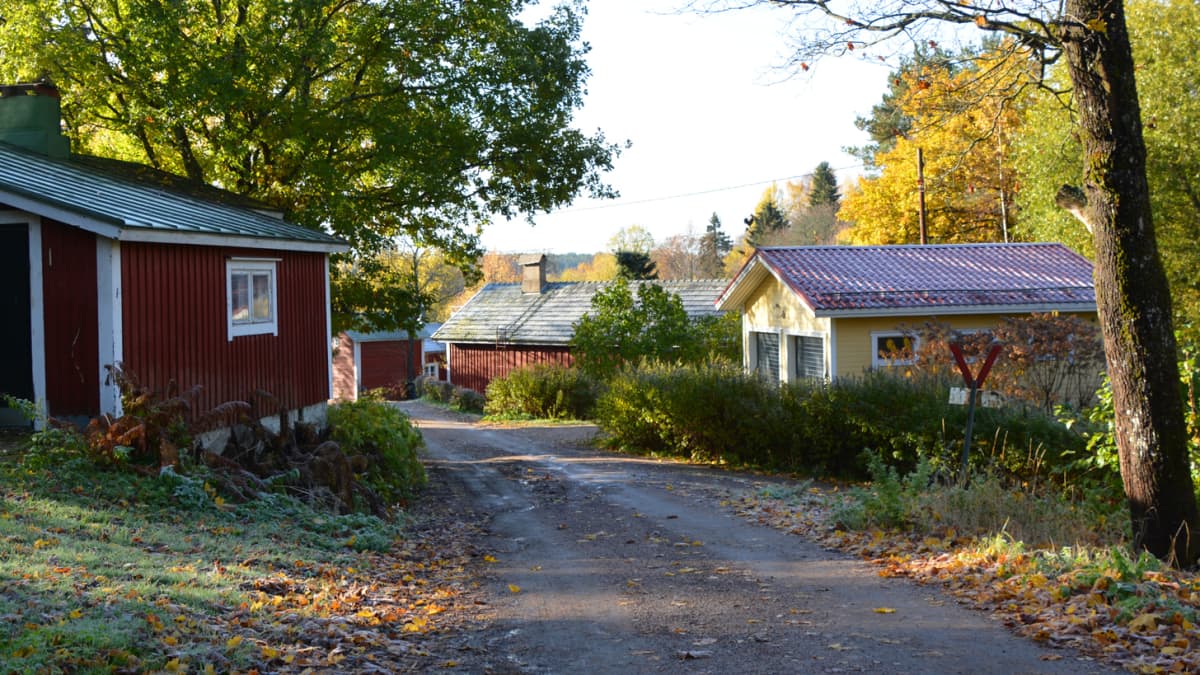 På båda sidor om en sandväg ligger trähus i rött och gult. Vid sidan av vägen står ett träd och färggranna lövhögar kantar vägen.