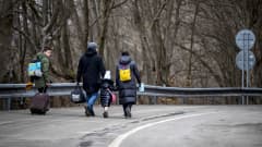 Aikuisia ja lapsia kävelee maantiellä.