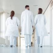 Tre läkare klädda i vita rockar går i en sjukhuskorridor. De har ryggarna vända mot kameran.