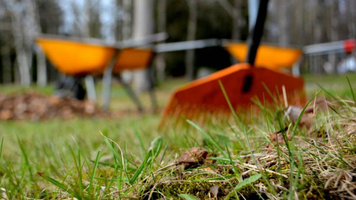 Krattor och skottkärror i orange på grönt gräs.