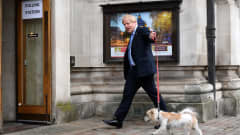 Boris Johnson taluttaa koiraa kohti äänestyspaikkaa.