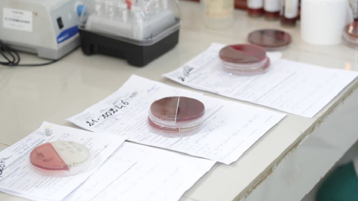 Bakteerinäyterasioita ja papereita laboratorion työpöydällä. 