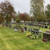 Hautakiviä on siisteissä riveissä syksyisellä hautausmaalla.