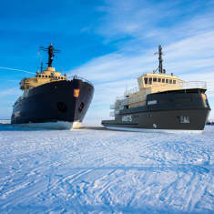 Kaksi jäänmurtajaa, Sampo ja Arktis, rinnakkain jäisellä merellä. Lähistöllä seisoo kaksi ihmistä jäällä.