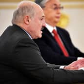  Aljaksandr Lukašenka puhuu mikrofoniin.