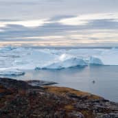Ilulissat-vuonon jäävuoria Grönlannissa