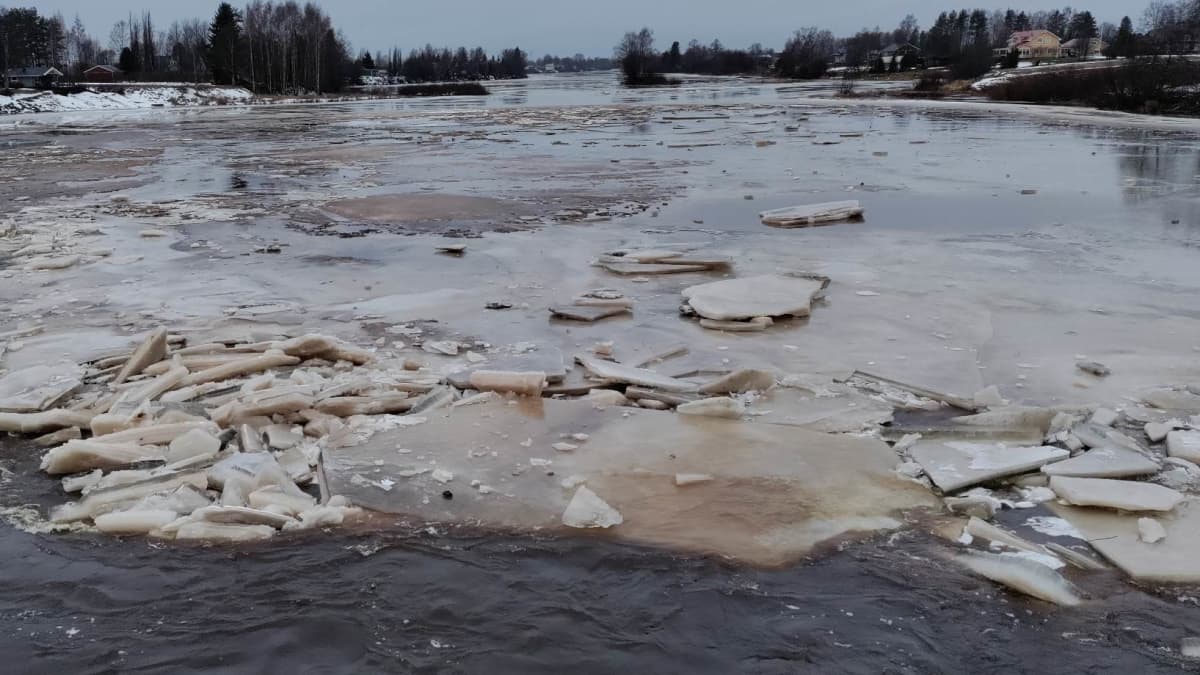 Jäälauttoja joessa harmaassa jokimaisemassa talvella.