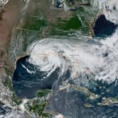 Satelliittikuva trooppisesta myrskystä Cristobalista.