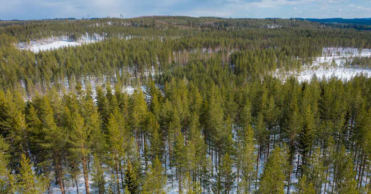 yle.fi