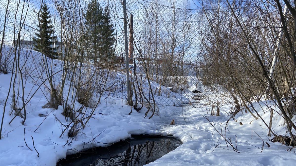 Kuvassa on Kaipolan suljetun paperitehtaan tontilta Päijänteeseen laskeva oja. Oja on osittain auki virtauksen vuoksi.