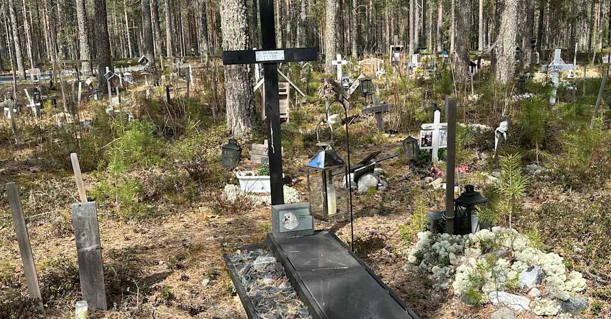 Lemmikin saa haudata Brasiliassa omistajansa viereen – onnistuisiko sama Suomessa?