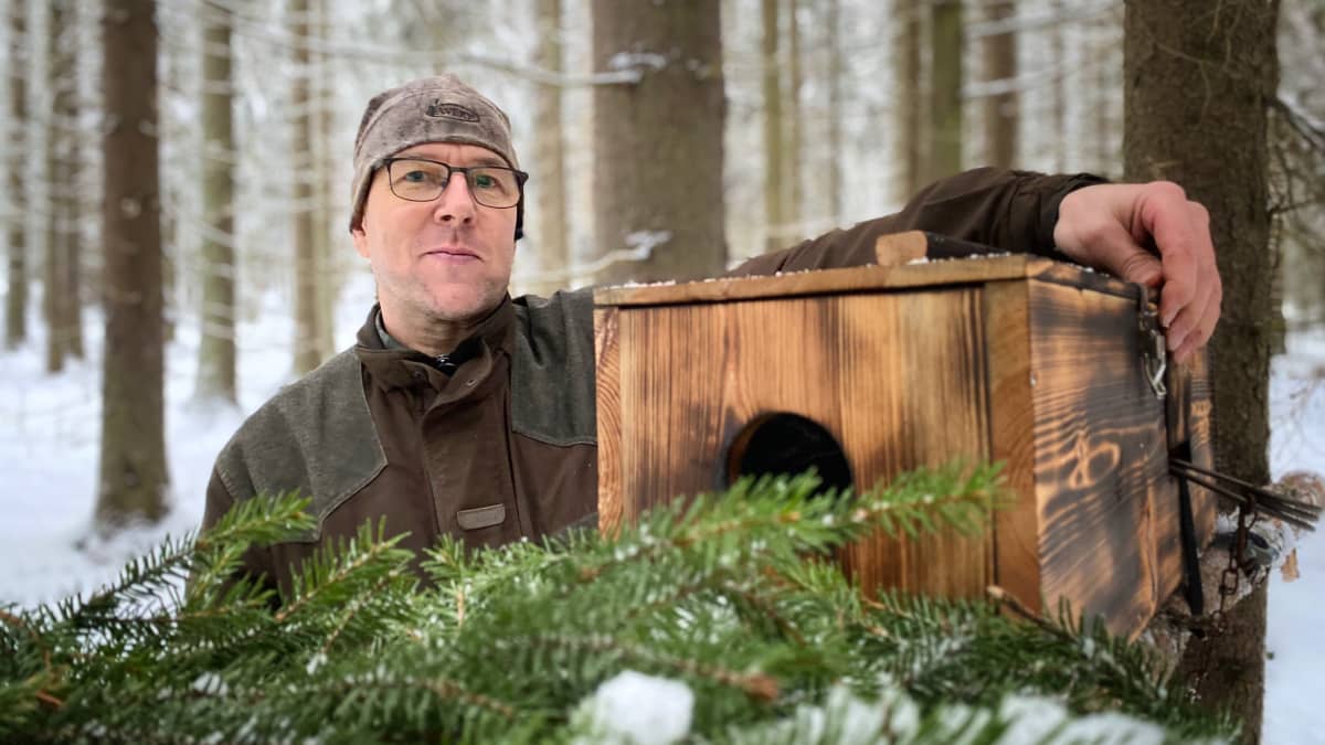 Suomen metsästäjäliiton hankevastaava Petri Passila nojaa puiseen ansalaatikkoon metsässä. 