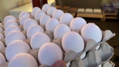 Etualalla kananmunia kennossa. Taustalla lähes tyhjät pinot kananmunia.