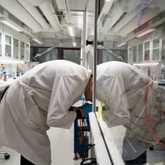 Laboratoriotyöntekijä kumartuu lasikaappiin puhaltamaan näytettä.