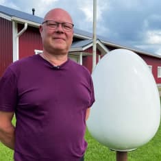 Violettipaitainen kanalayrittäjä Sami Väisänen katsoo kameraan vieressään suuri munanmuotoinen mainosesine, taustalla punainen kanalan tuotantorakennus.