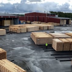 Porilaista kuusta päätyy saksalaisiin seiniin ja mäntyä Pohjois-Afrikan puusepille