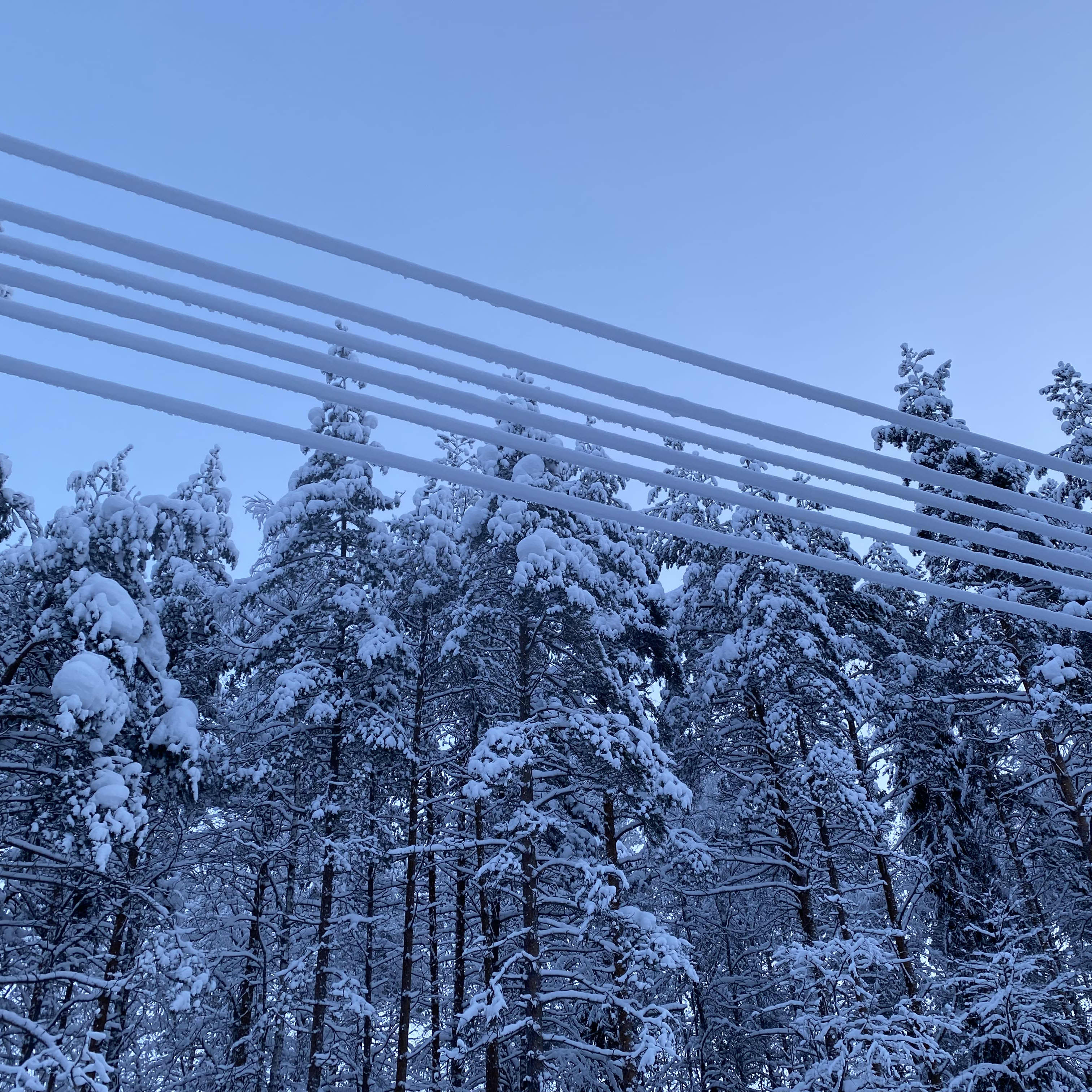 Luminen keskijännitelijna.