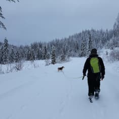 Mies kävelee koiran kanssa lumista tietä pitkin vaaramaisemassa.