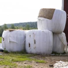 Rikkinäisiä valkoisia muovisia heinäpaaleja.