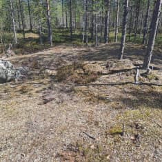 Kallioista maastoa metsässä.