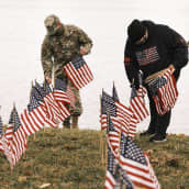 Kaksi miestä pystyttää USA:n lippuja rannalle.