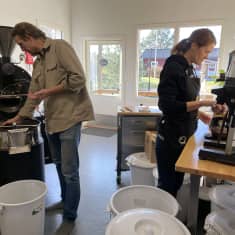 Mies ja nainen työskentelevät pienen kahvipaahtamon tiloissa. Paahtimen viereisellä pöydällä on kahvimylly.