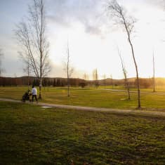 Golfaaja salon golfkentällä 2. tammikuuta 2020