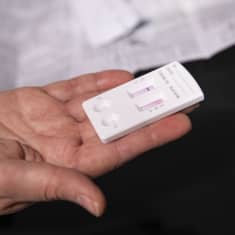 Yhdistetyn korona- ja influenssavirus kotitestin testiliuska kädellä. 
