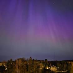 Green and purple northern lights over Espoo treetops. 