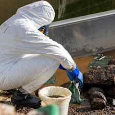 WWF:n vapaaehtoiset harjoittelemassa öljyntorjuntaa ja pudistavat rantahiekkaa öljystä.