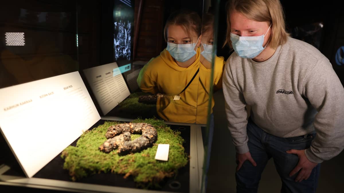 Nuoret katsovat karhun kakkaa biologisessa museossa