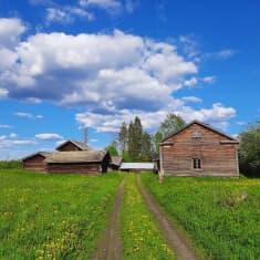 Vanha Pyhäniemen tila Mäntyharjulla