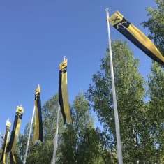 Etelä-Savon maakuntaviirit liehuvat tuulessa.