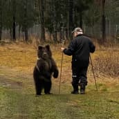 Aina karhu ja Sulo Karjalainen syksyllä 2021