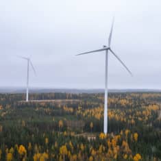 Pohjois-Savon tämän hetken ainoat tuulivoimalat Leppävirralla.