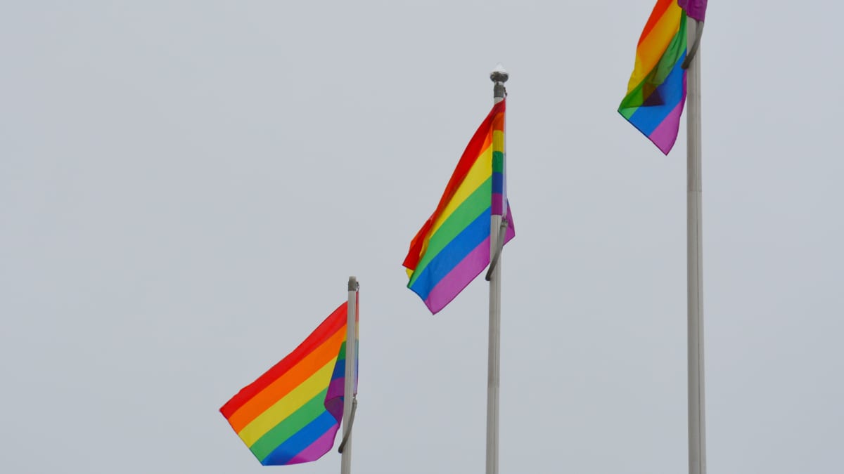 Regnbågsflaggor i Åbo