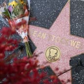 Dean Stockwellin tähti Hollywood Walk of Famella kukkien ympäröimänä.
