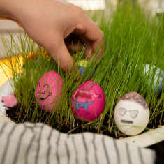 Lautasella on rairuohoa. Rairuohon seassa on pääsiäiskoristeeksi maalattuja kananmunia ja käsi asettelemassa yhtä kananmunaa paikoilleen.