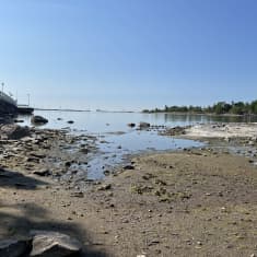 Kuvassa alhainen merenpinta Helsingin Ullanlinnassa Cafe Ursulan laiturin vieressä. Kuvassa hiekkaa, merta ja taustalla saari. Vasemmalla osa laiturista.