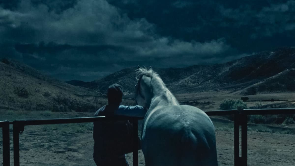 Mies ja hevonen takaapäin öisessä maisemassa. Katselevat rinnakkain kukkuloille päin.